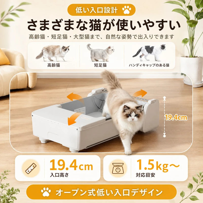 C30の19.4cmの低い入口